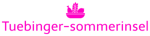 Tuebinger-sommerinsel.de